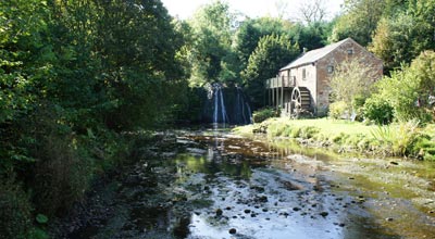 Rutter Force, Appleby