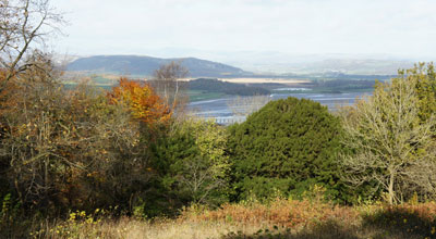 View over the Estuary