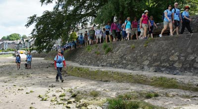 Cross Bay Walkers