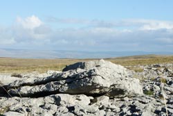 Orton Limestone pavement