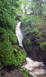 Aira Force