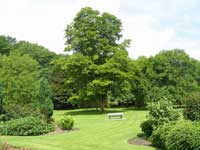 Nobles park