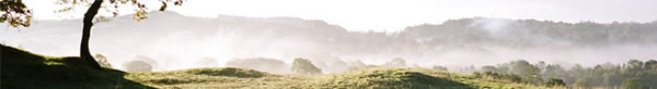 Misty Lake District morning