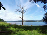 Bassenthwaite