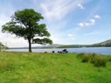 Bassenthwaite