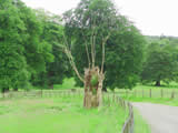 Coniston Lake