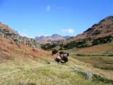 Langdale Pikes