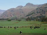 Langdales