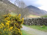 Great Gable