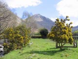 Great Gable