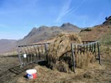 The Langdales