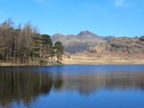 Pikes from Blea Tarn