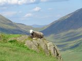 Wrynose Pass