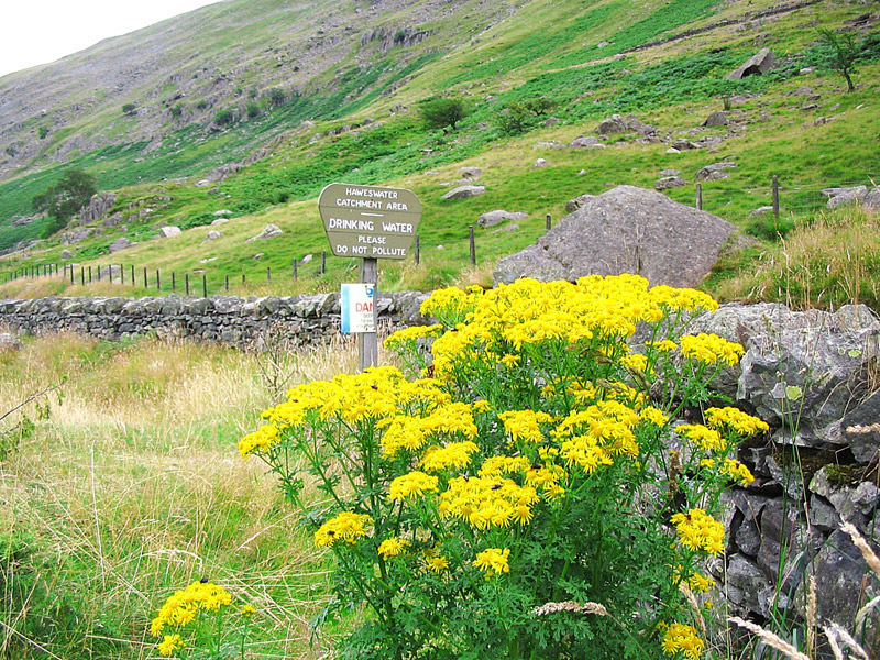 Haweswater