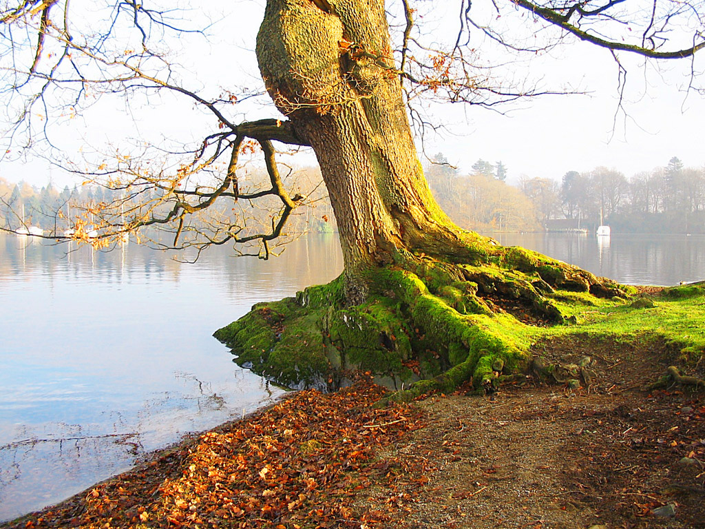 windermere lake