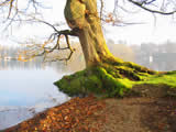 Windermere Lake