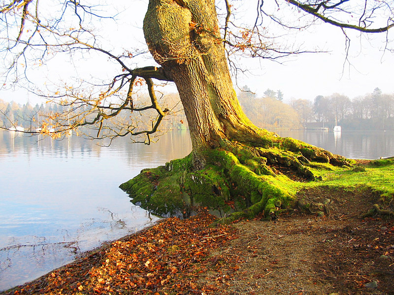 windermere lake