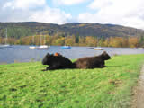 Windermere Lake