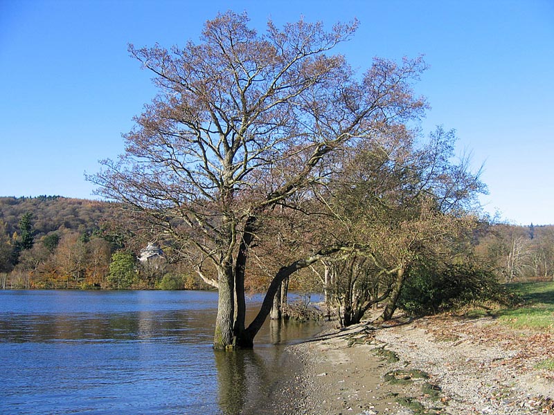 windermere lake